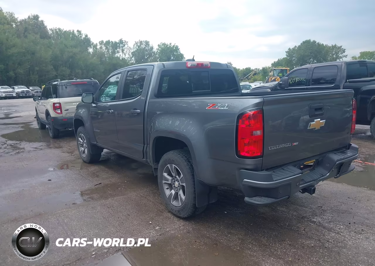2019 Chevrolet Colorado Z71 VIN:1GCGTDEN7K1114043 - 3