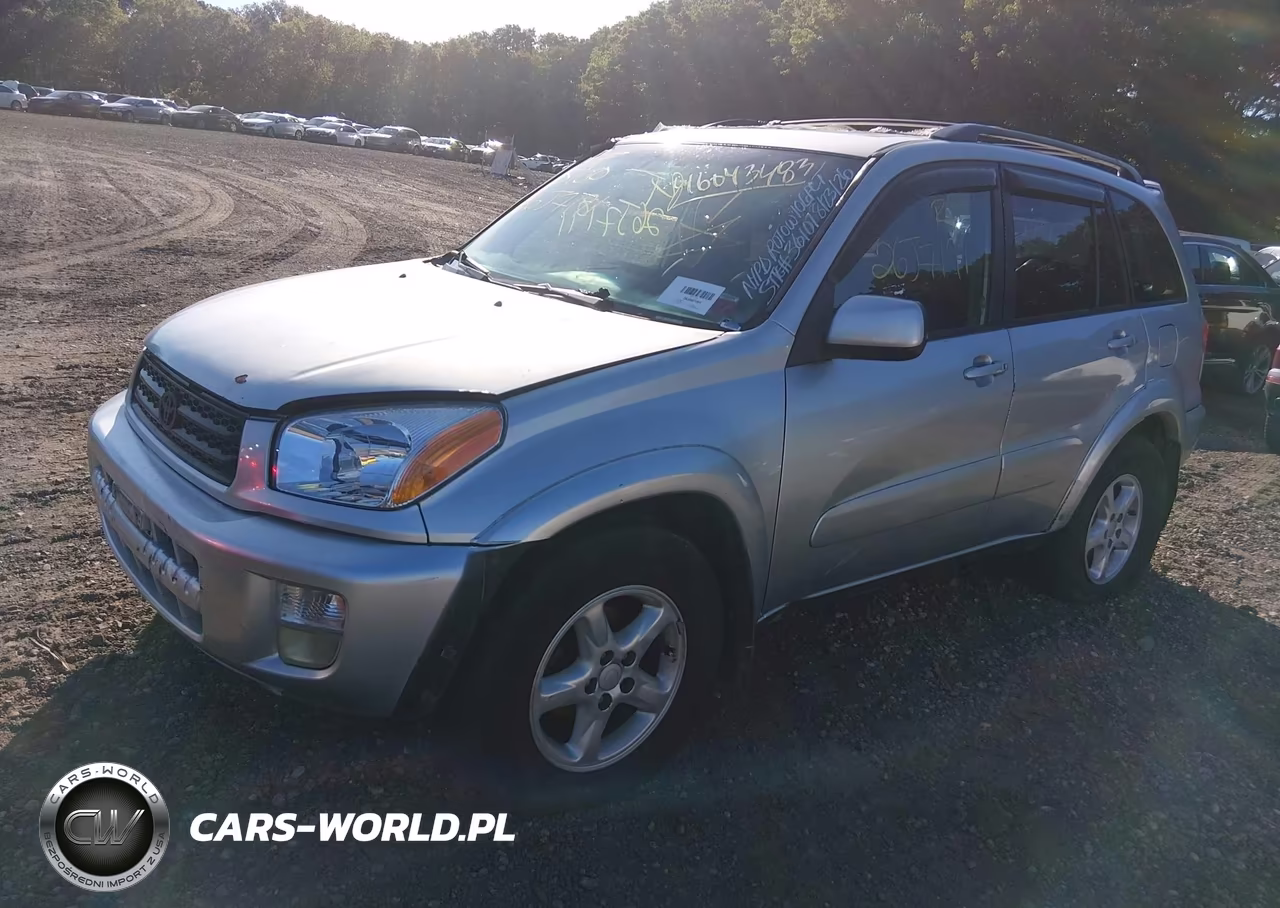 2002 Toyota Rav4 VIN:JTEHH20V420174834 - 2