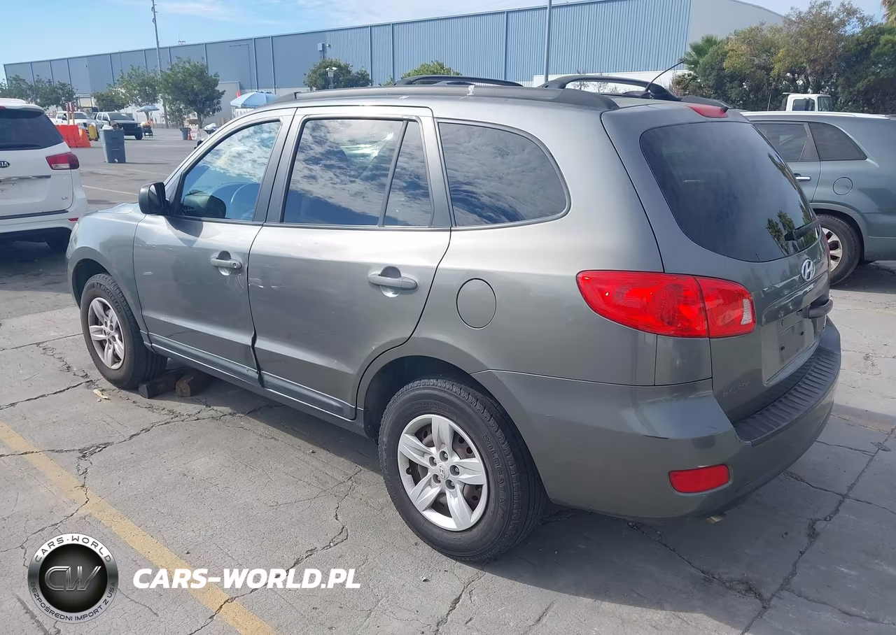 2009 Hyundai Santa Fe Gls VIN:5NMSG13D89H253685 - 3