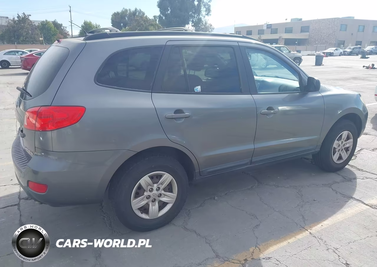 2009 Hyundai Santa Fe Gls VIN:5NMSG13D89H253685 - 4