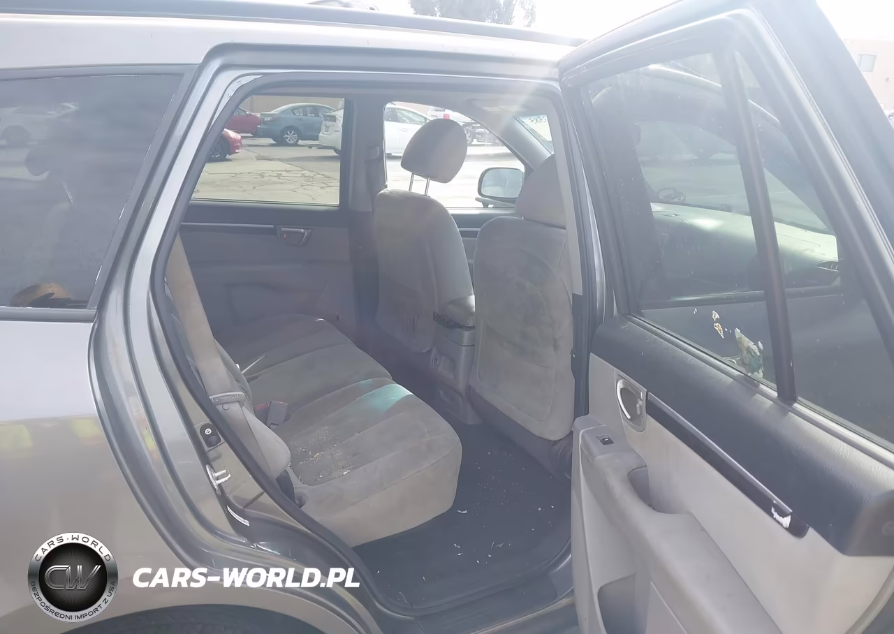 2009 Hyundai Santa Fe Gls VIN:5NMSG13D89H253685 - 8