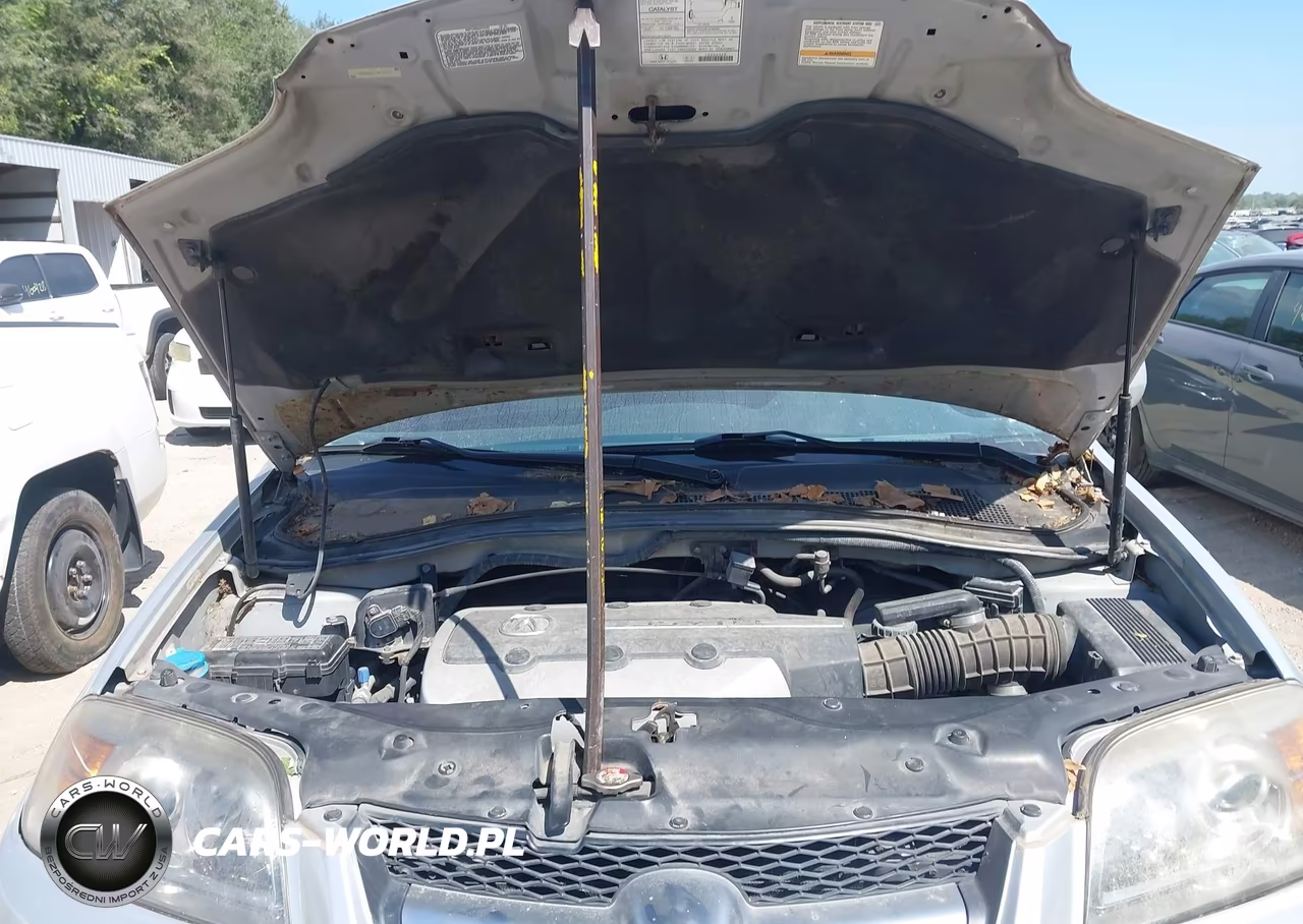 2004 Acura Mdx VIN:2HNYD18274H507167 - 10
