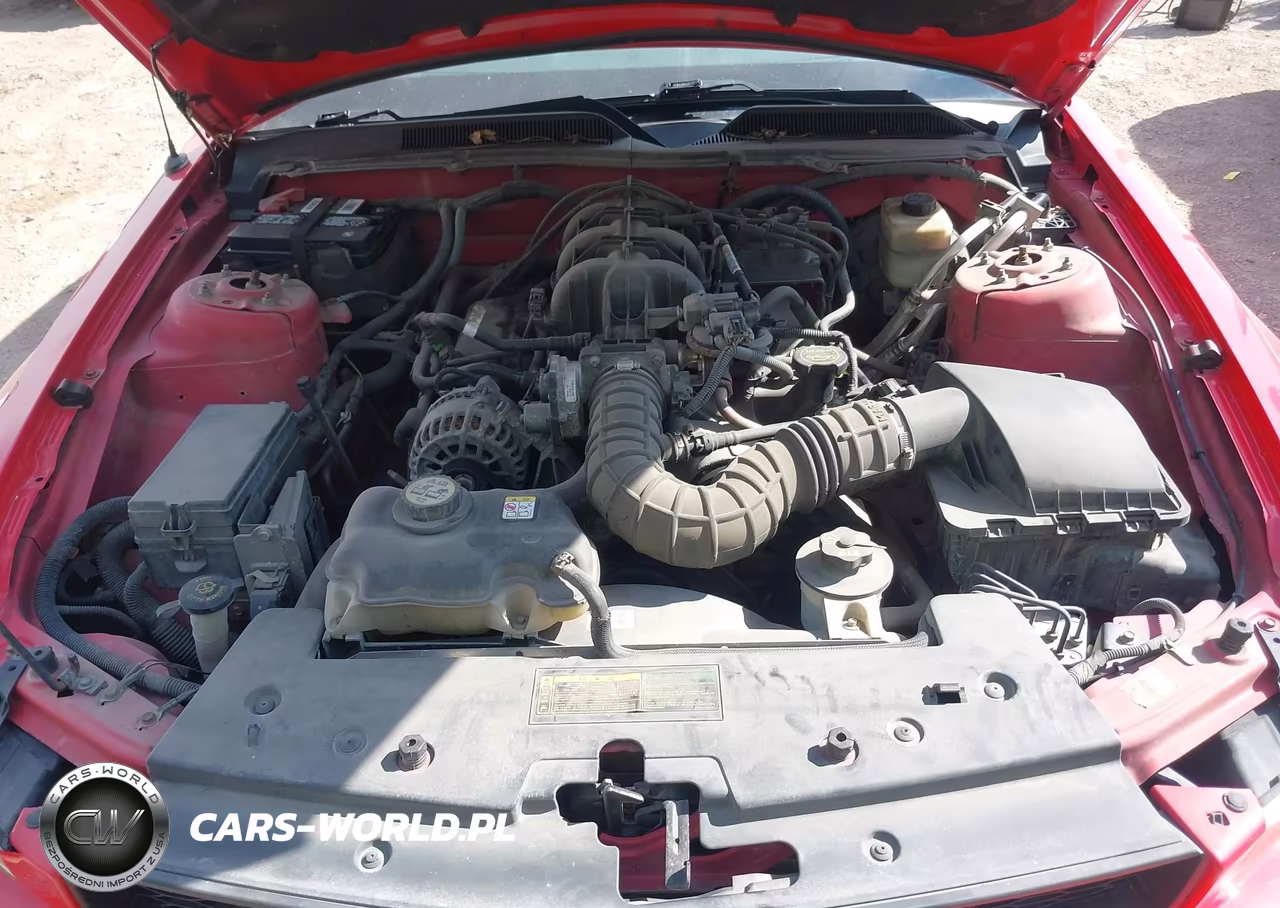 2007 Ford Mustang V6 Deluxe-V6 Premium VIN:1ZVFT80N775307509 - 10