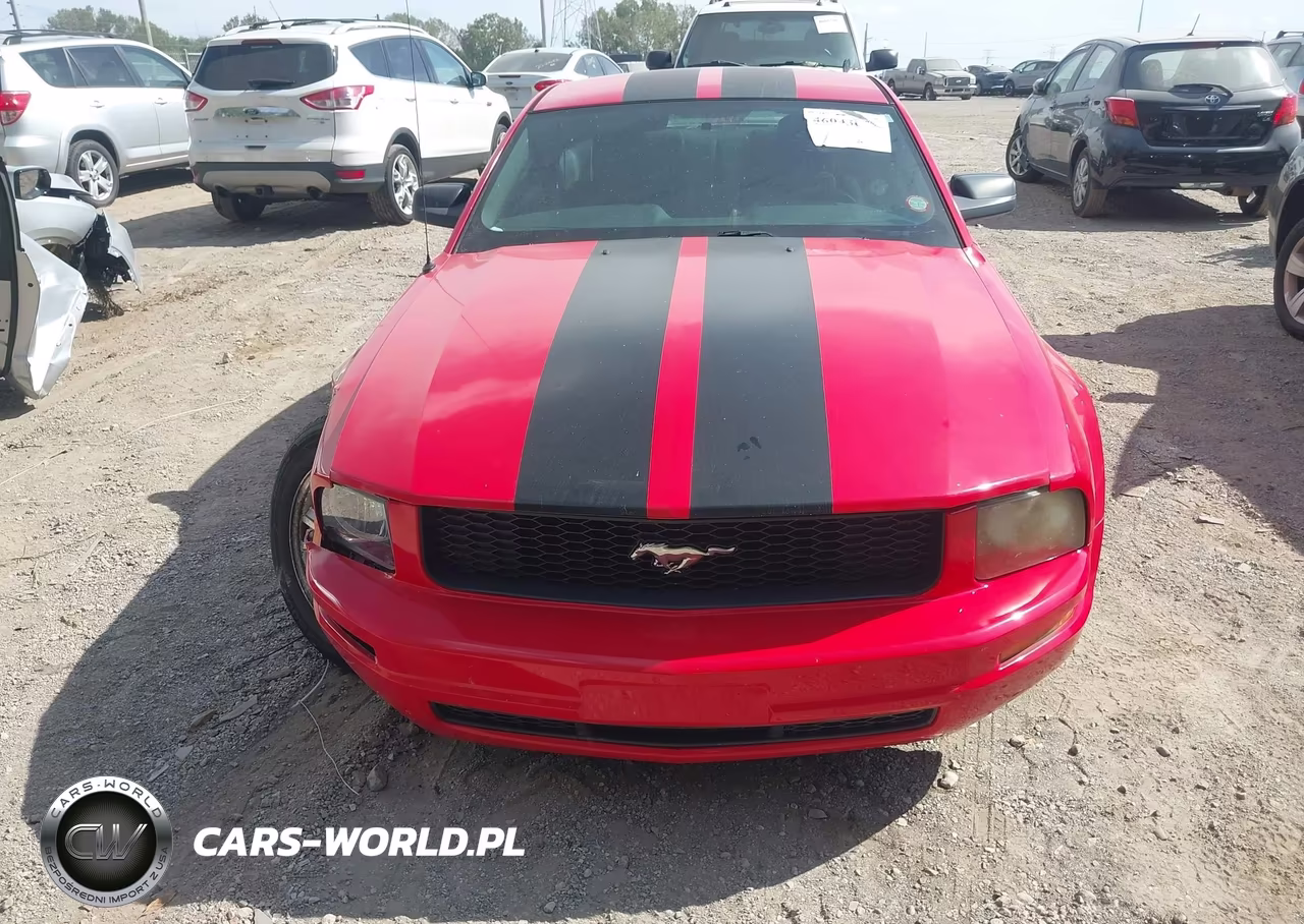 2007 Ford Mustang V6 Deluxe-V6 Premium VIN:1ZVFT80N775307509 - 12
