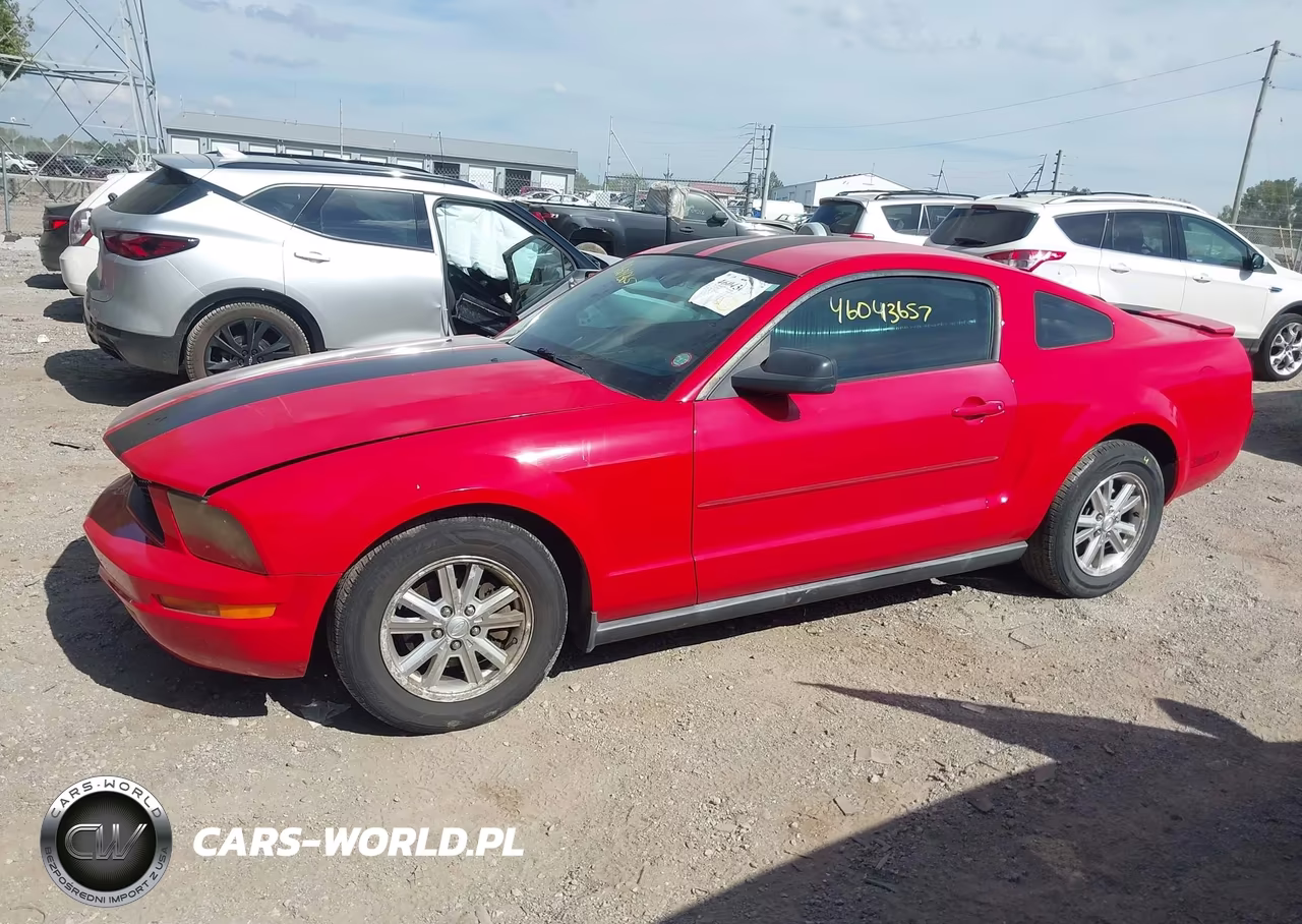 2007 Ford Mustang V6 Deluxe-V6 Premium VIN:1ZVFT80N775307509 - 14