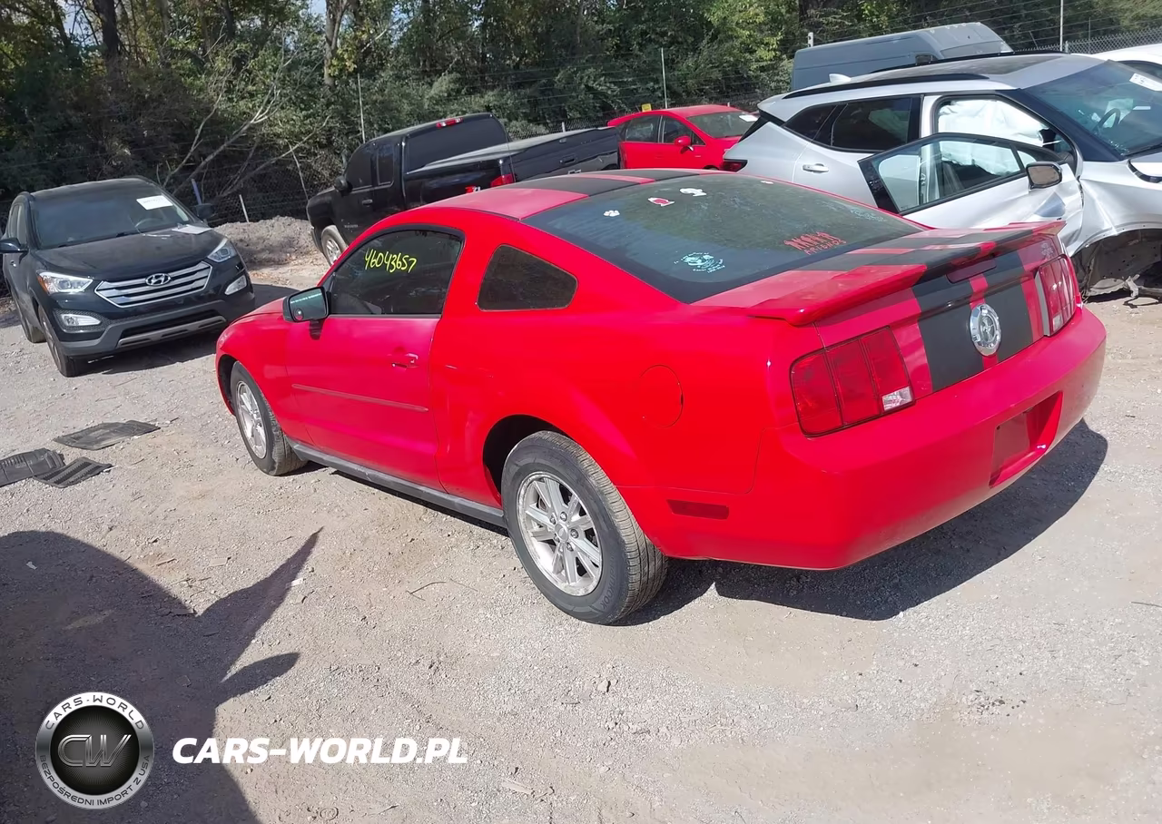 2007 Ford Mustang V6 Deluxe-V6 Premium VIN:1ZVFT80N775307509 - 3