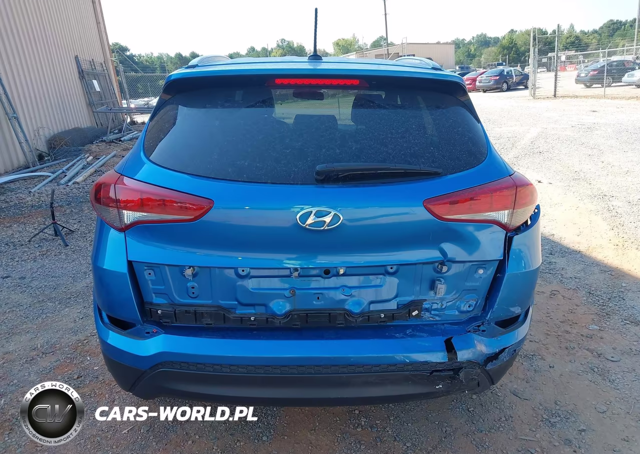 2017 Hyundai Tucson Se VIN:KM8J3CA43HU567334 - 16