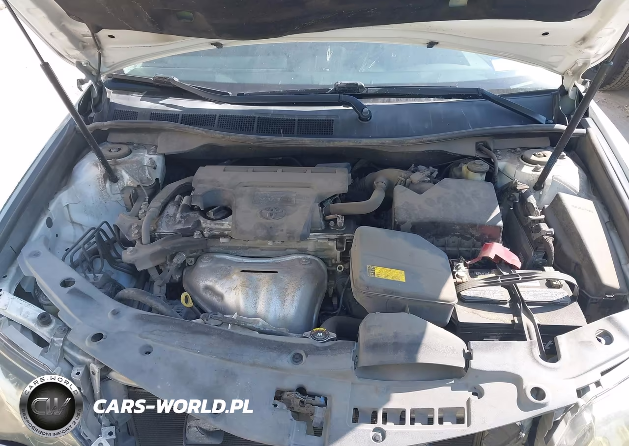 2014 Toyota Camry Se VIN:4T1BF1FK8EU852310 - 10