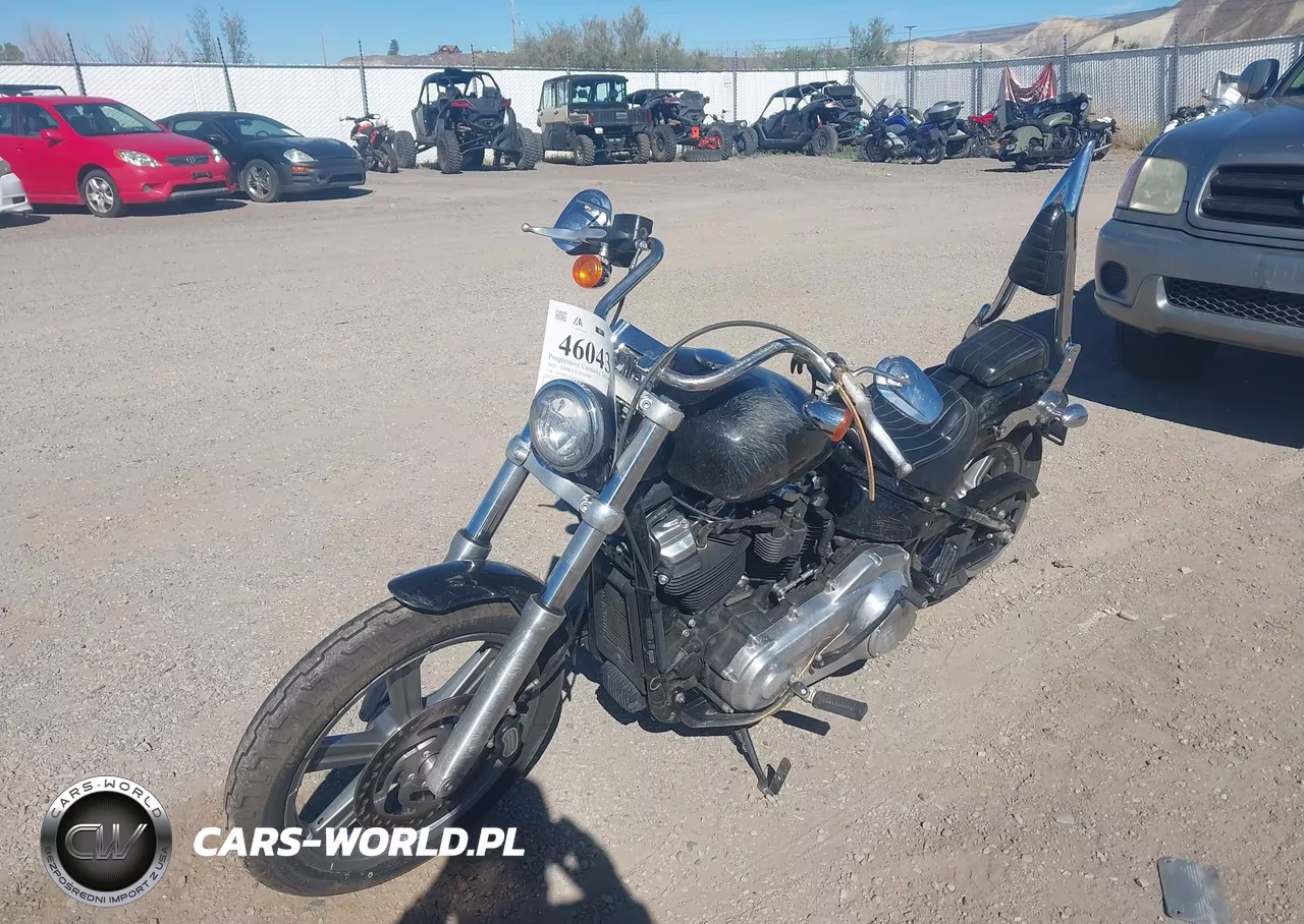2022 Harley-Davidson Fxst VIN:1HD1BVJ13NB042420 - 2