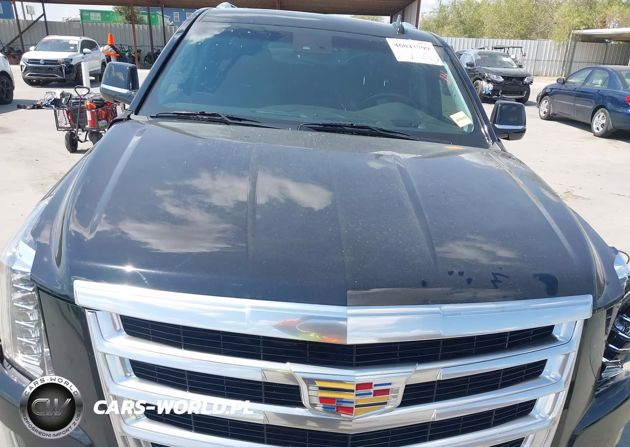 2015 Cadillac Escalade Esv Luxury VIN:1GYS3SKJXFR533845 - 10