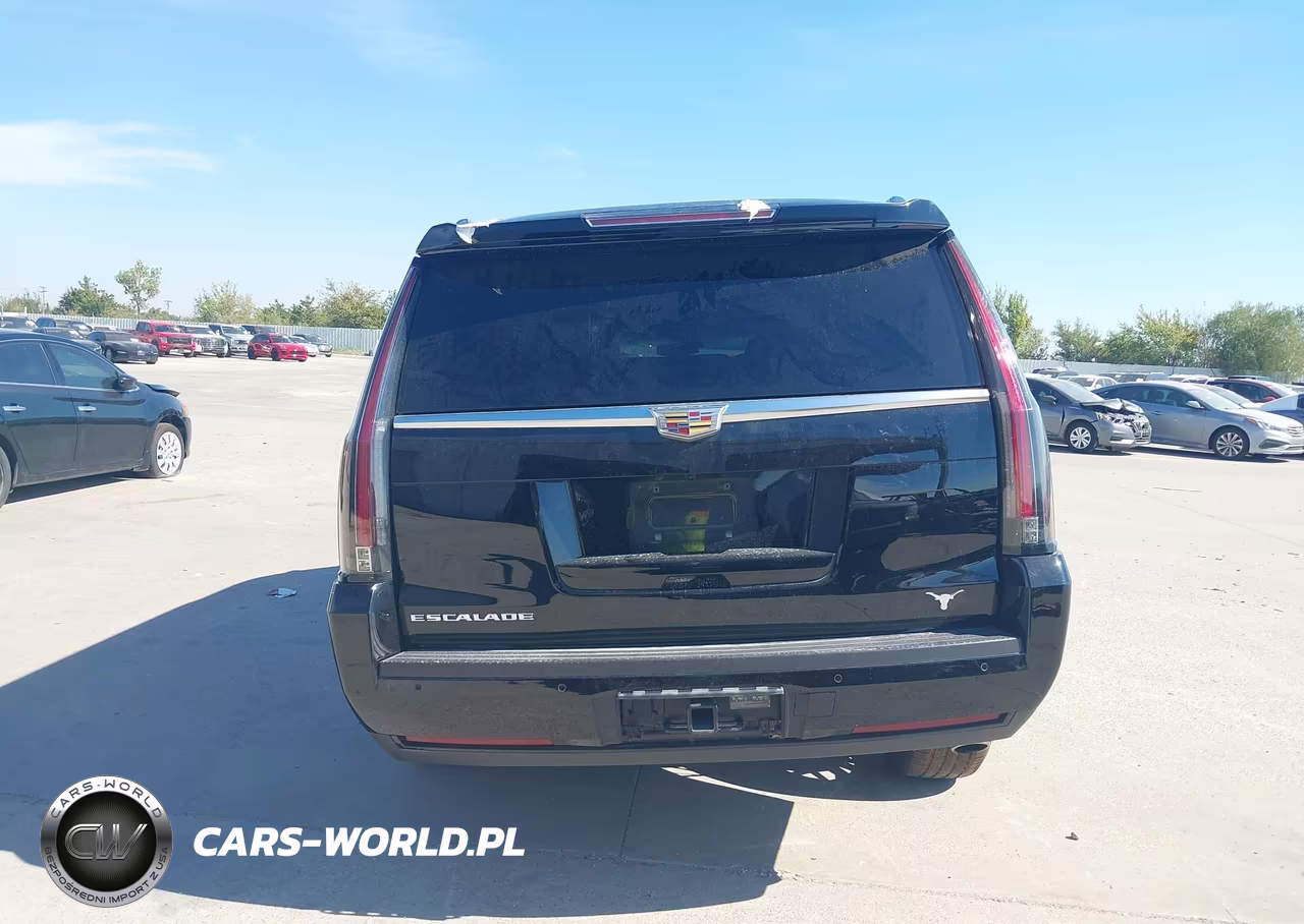 2015 Cadillac Escalade Esv Luxury VIN:1GYS3SKJXFR533845 - 16