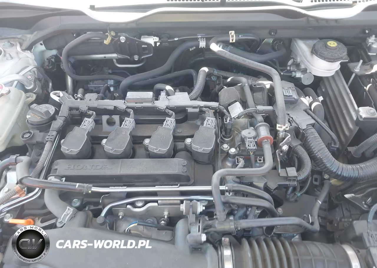 2020 Honda Civic Ex-L VIN:19XFC1F77LE221442 - 10