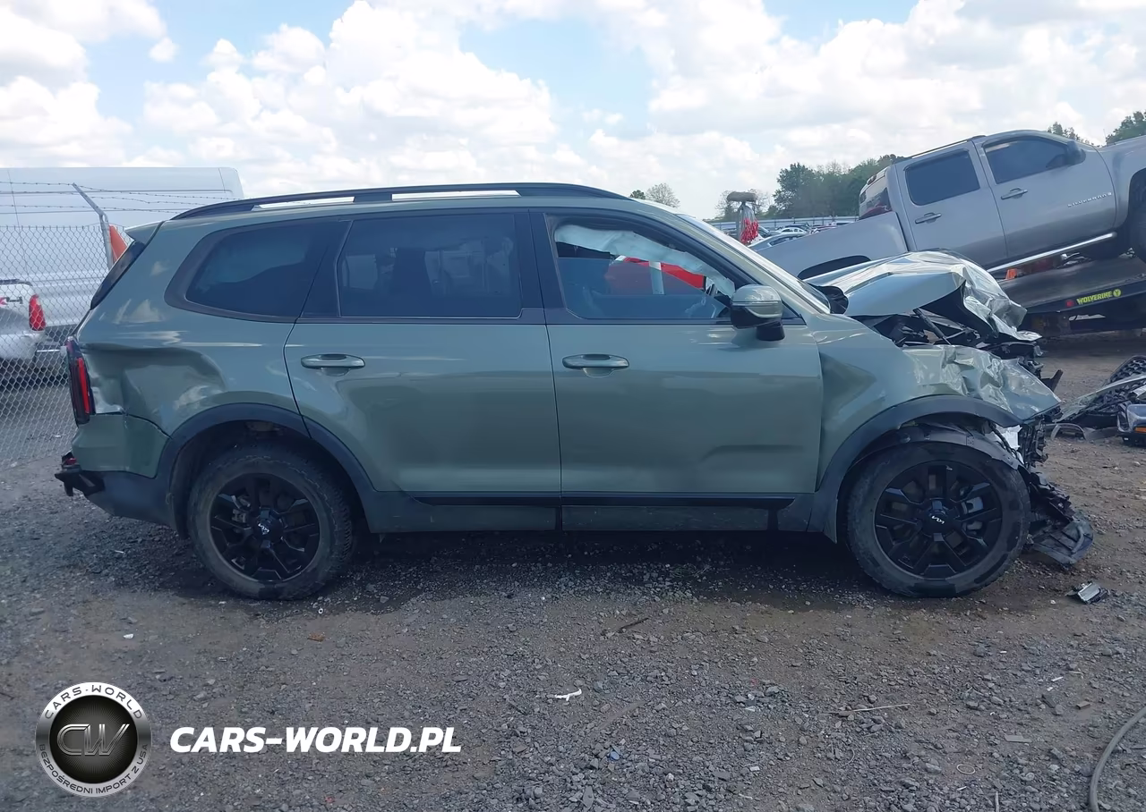 2024 Kia Telluride Sx X-Pro VIN:5XYP5DGC0RG451797 - 13