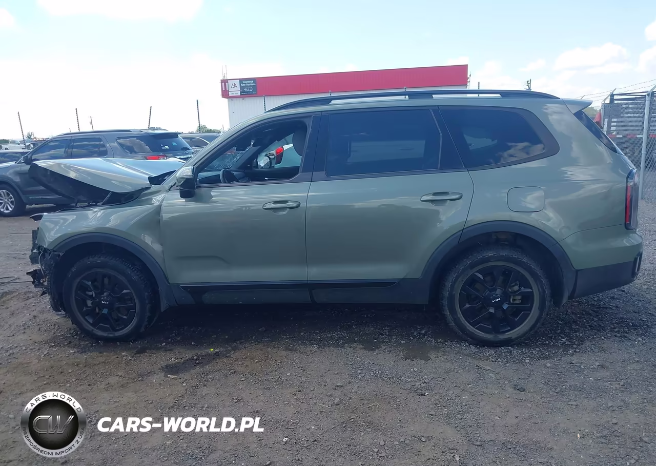 2024 Kia Telluride Sx X-Pro VIN:5XYP5DGC0RG451797 - 14