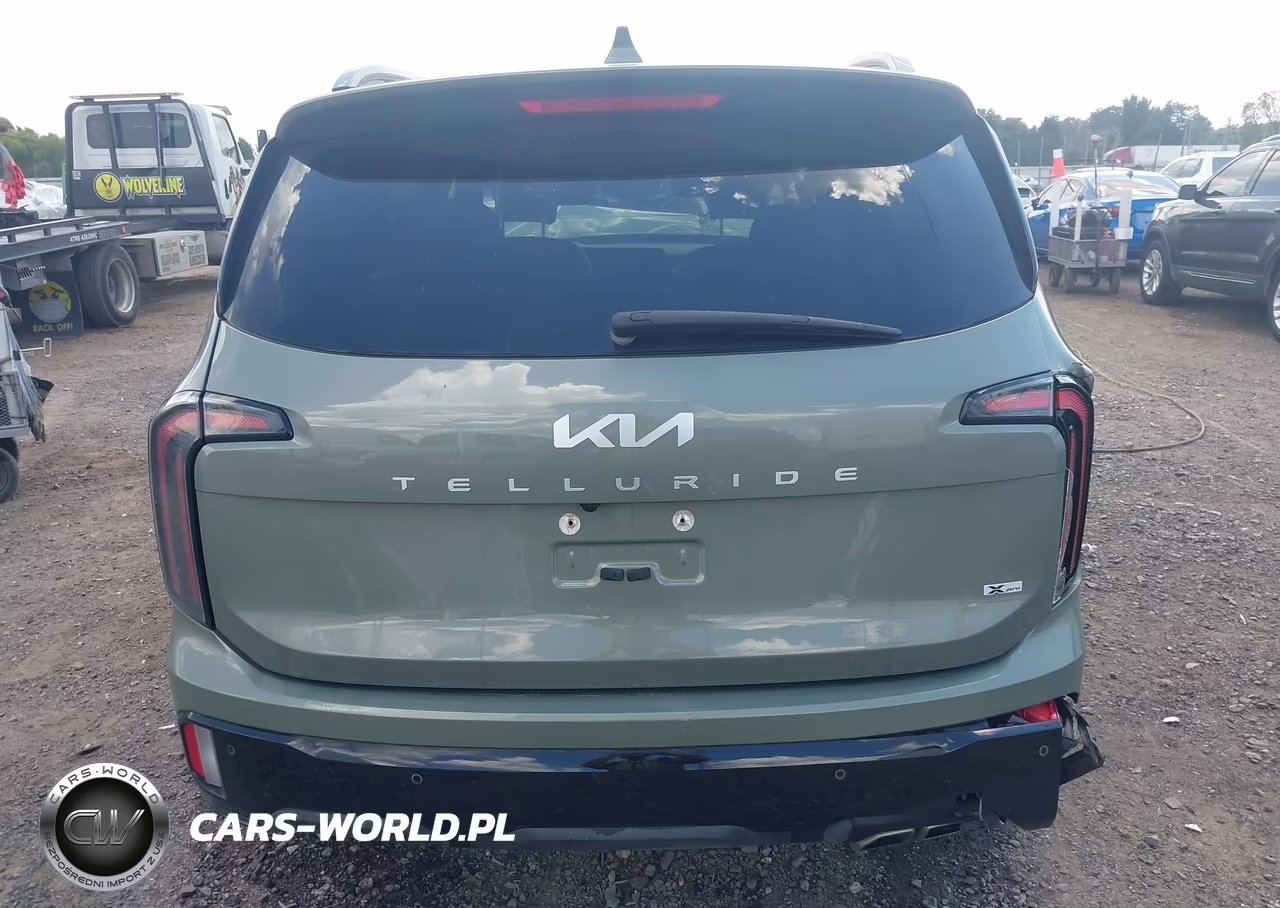 2024 Kia Telluride Sx X-Pro VIN:5XYP5DGC0RG451797 - 16
