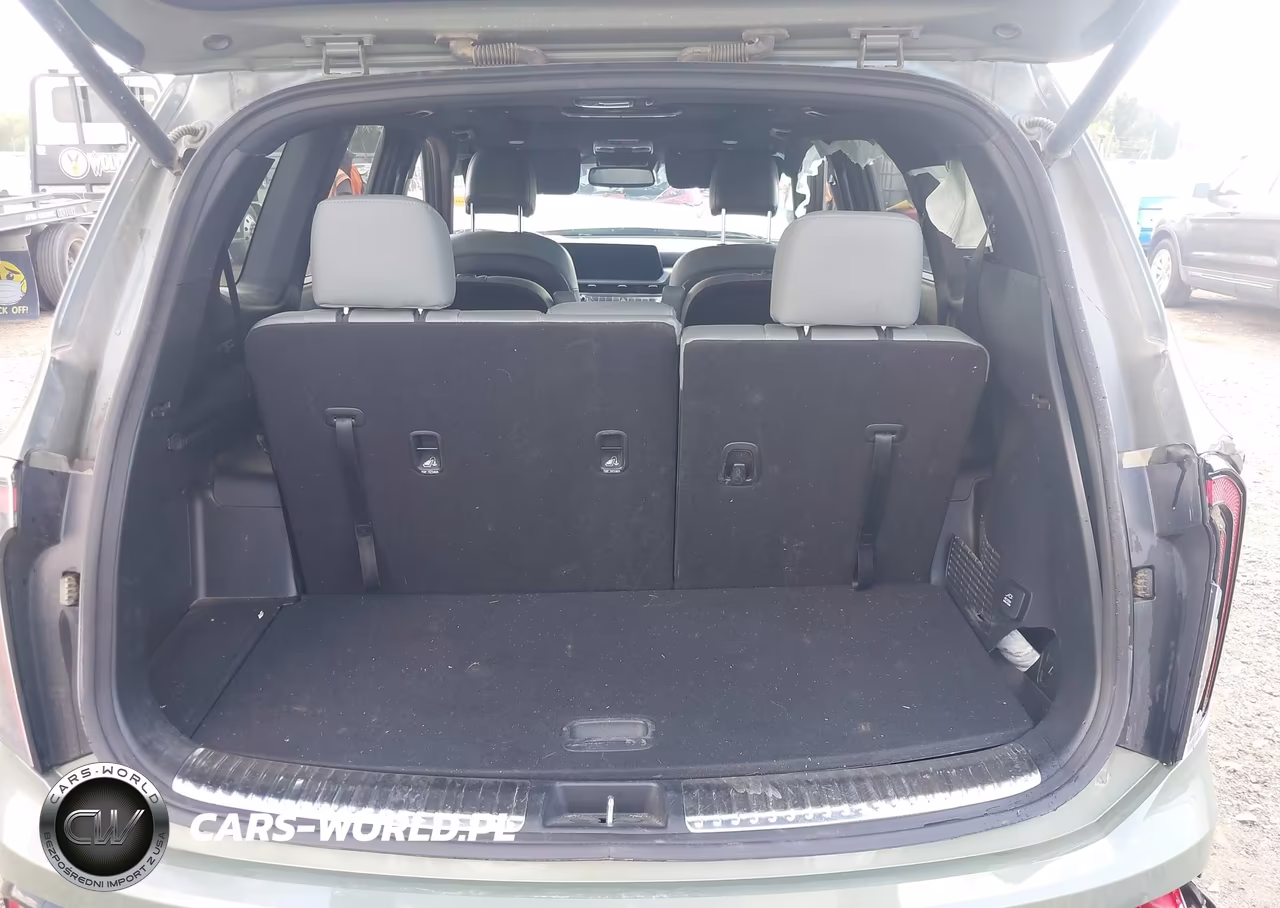 2024 Kia Telluride Sx X-Pro VIN:5XYP5DGC0RG451797 - 17