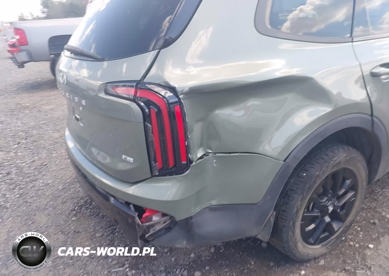 2024 Kia Telluride Sx X-Pro VIN:5XYP5DGC0RG451797 - 18