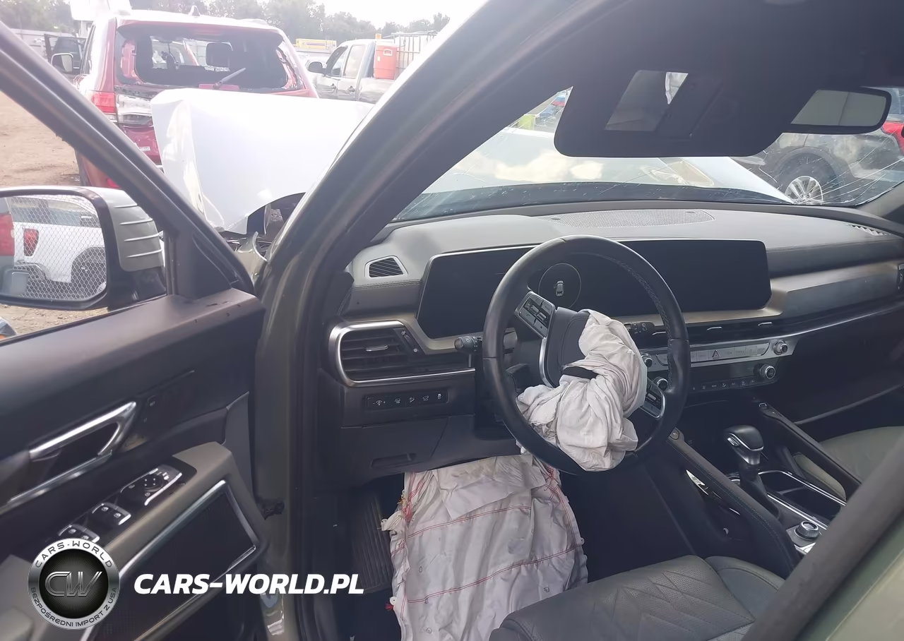 2024 Kia Telluride Sx X-Pro VIN:5XYP5DGC0RG451797 - 19
