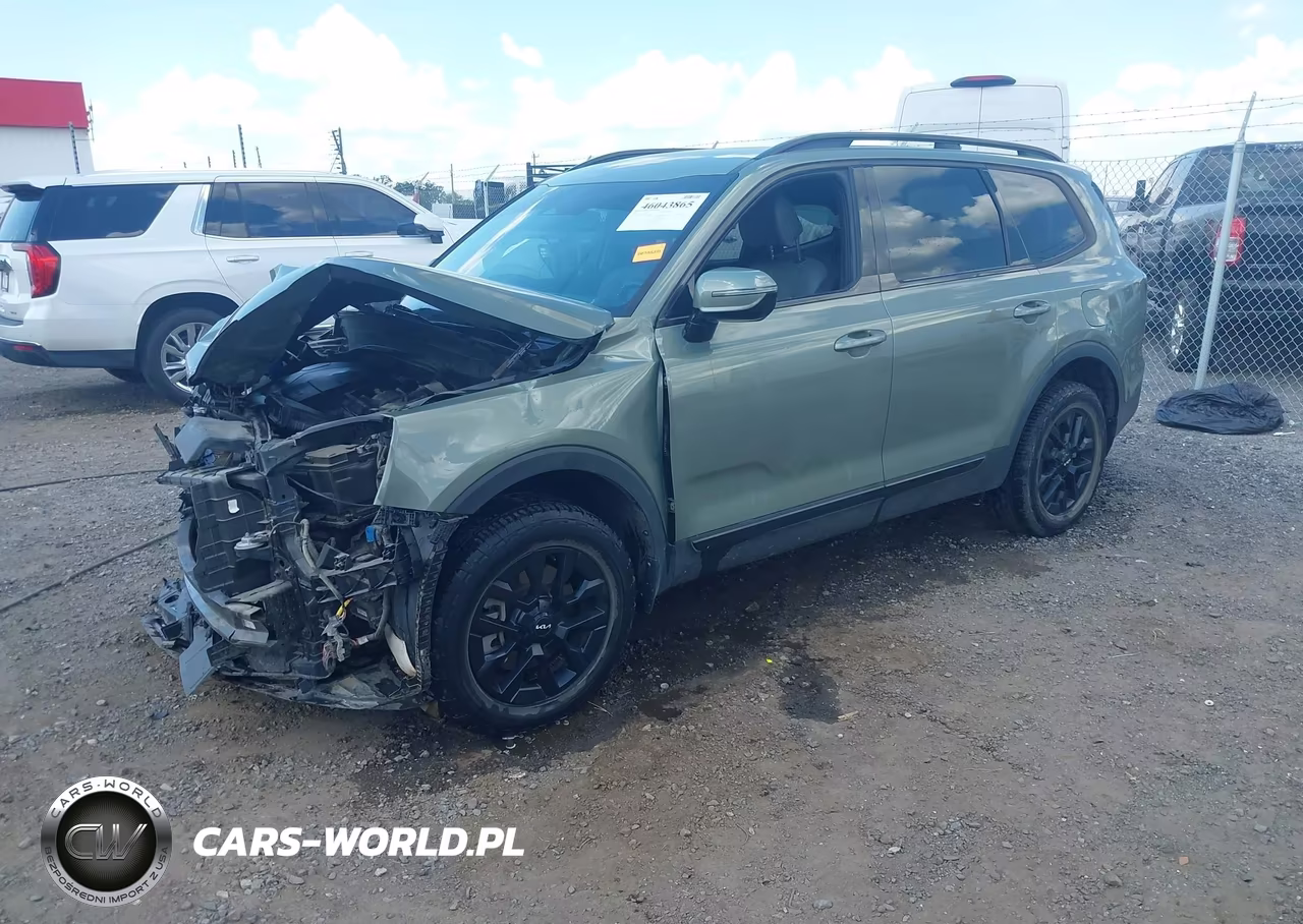 2024 Kia Telluride Sx X-Pro VIN:5XYP5DGC0RG451797 - 2
