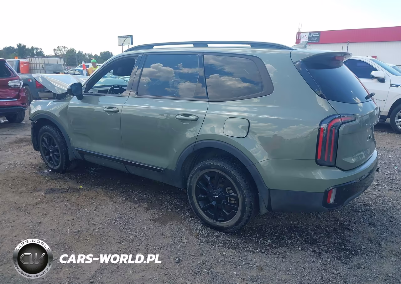 2024 Kia Telluride Sx X-Pro VIN:5XYP5DGC0RG451797 - 3
