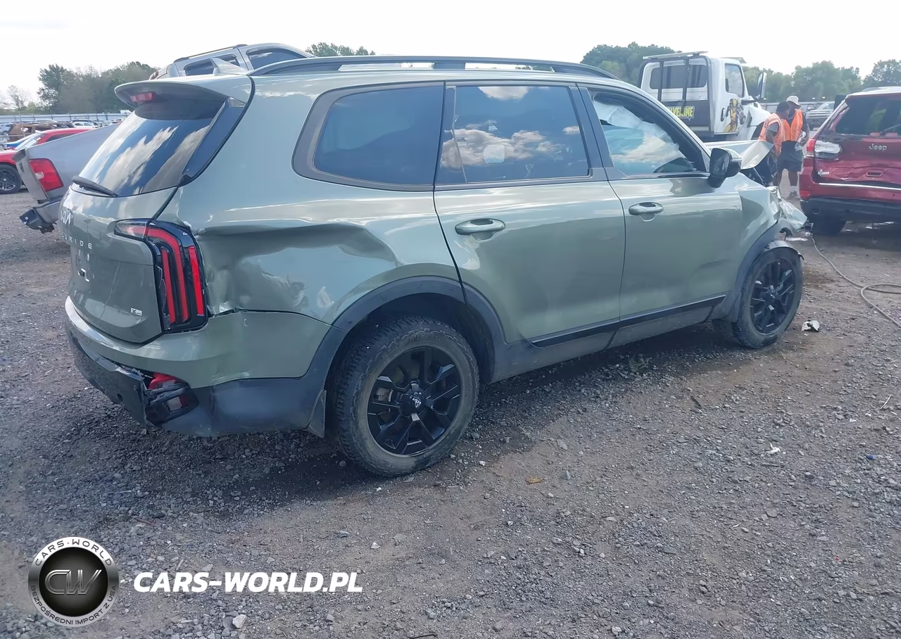 2024 Kia Telluride Sx X-Pro VIN:5XYP5DGC0RG451797 - 4