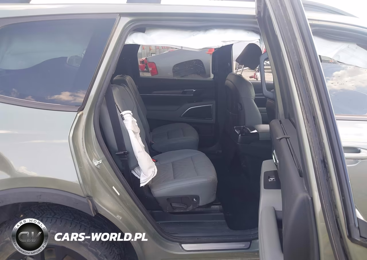 2024 Kia Telluride Sx X-Pro VIN:5XYP5DGC0RG451797 - 8