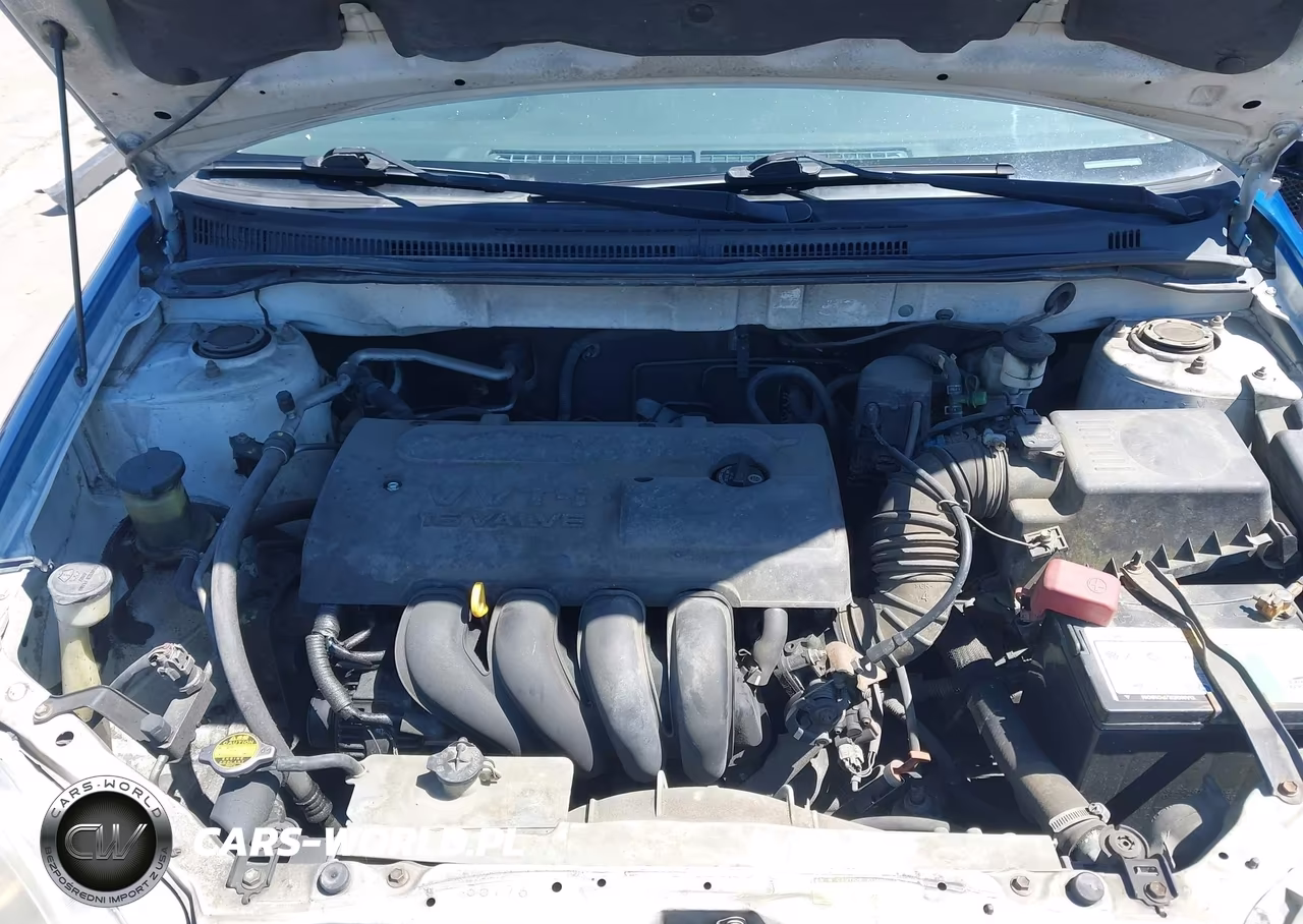 2004 Toyota Corolla S VIN:1NXBR32EX4Z274003 - 10
