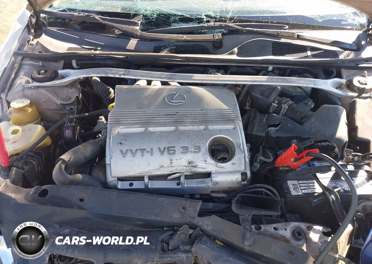 2004 Lexus Es 330 VIN:JTHBA30G945015818 - 10