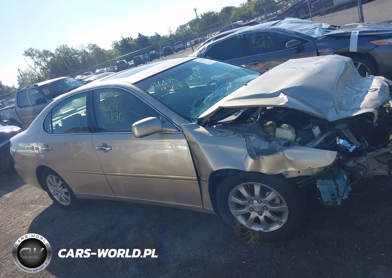 2004 Lexus Es 330 VIN:JTHBA30G945015818 - 14