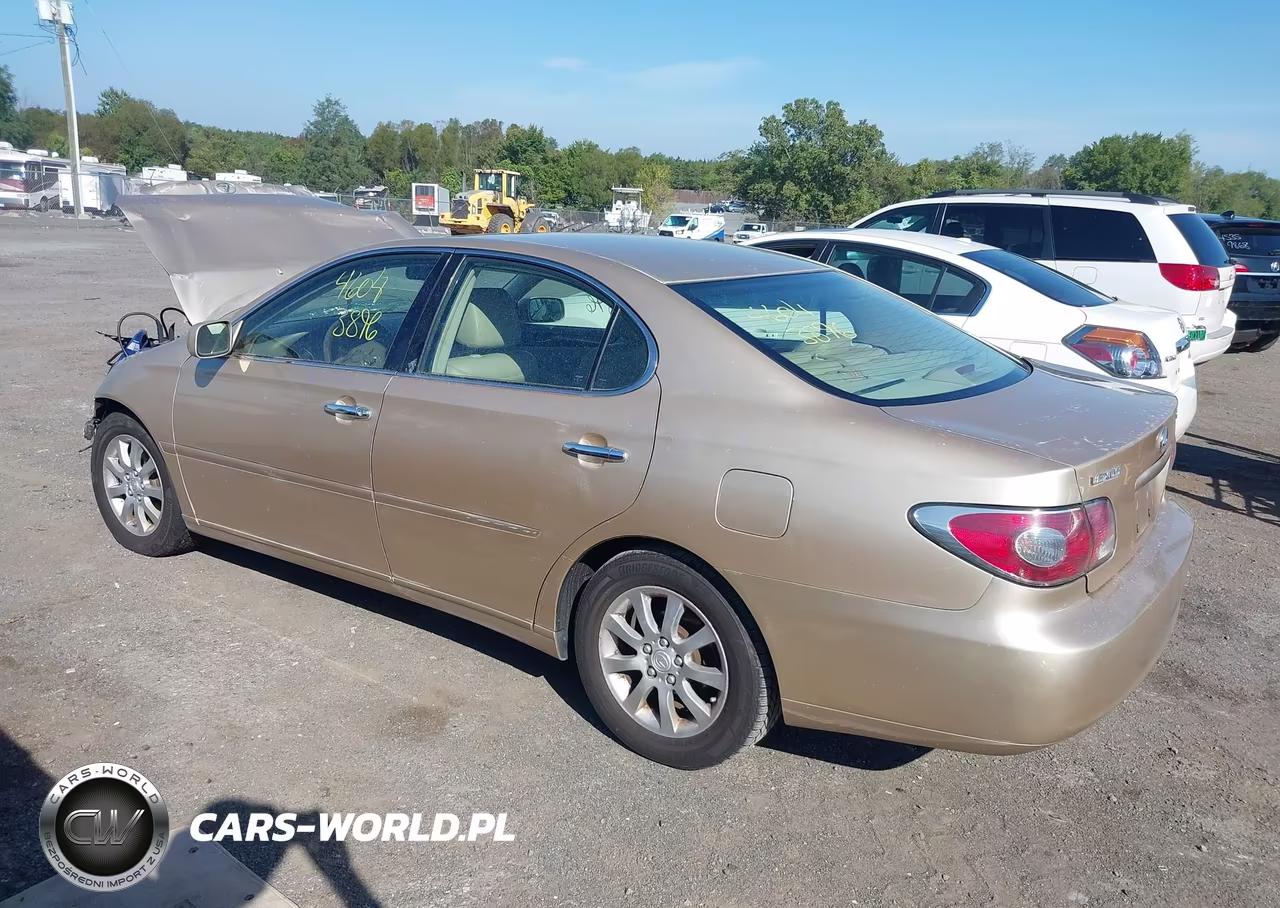 2004 Lexus Es 330 VIN:JTHBA30G945015818 - 3