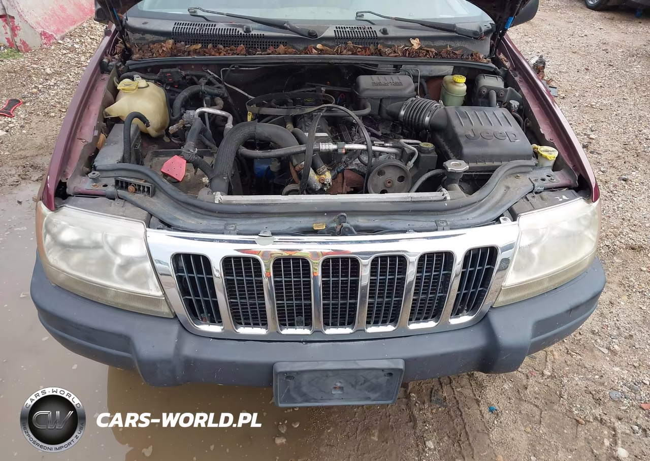 2000 Jeep Grand Cherokee Laredo VIN:1J4GW48S5YC114588 - 10