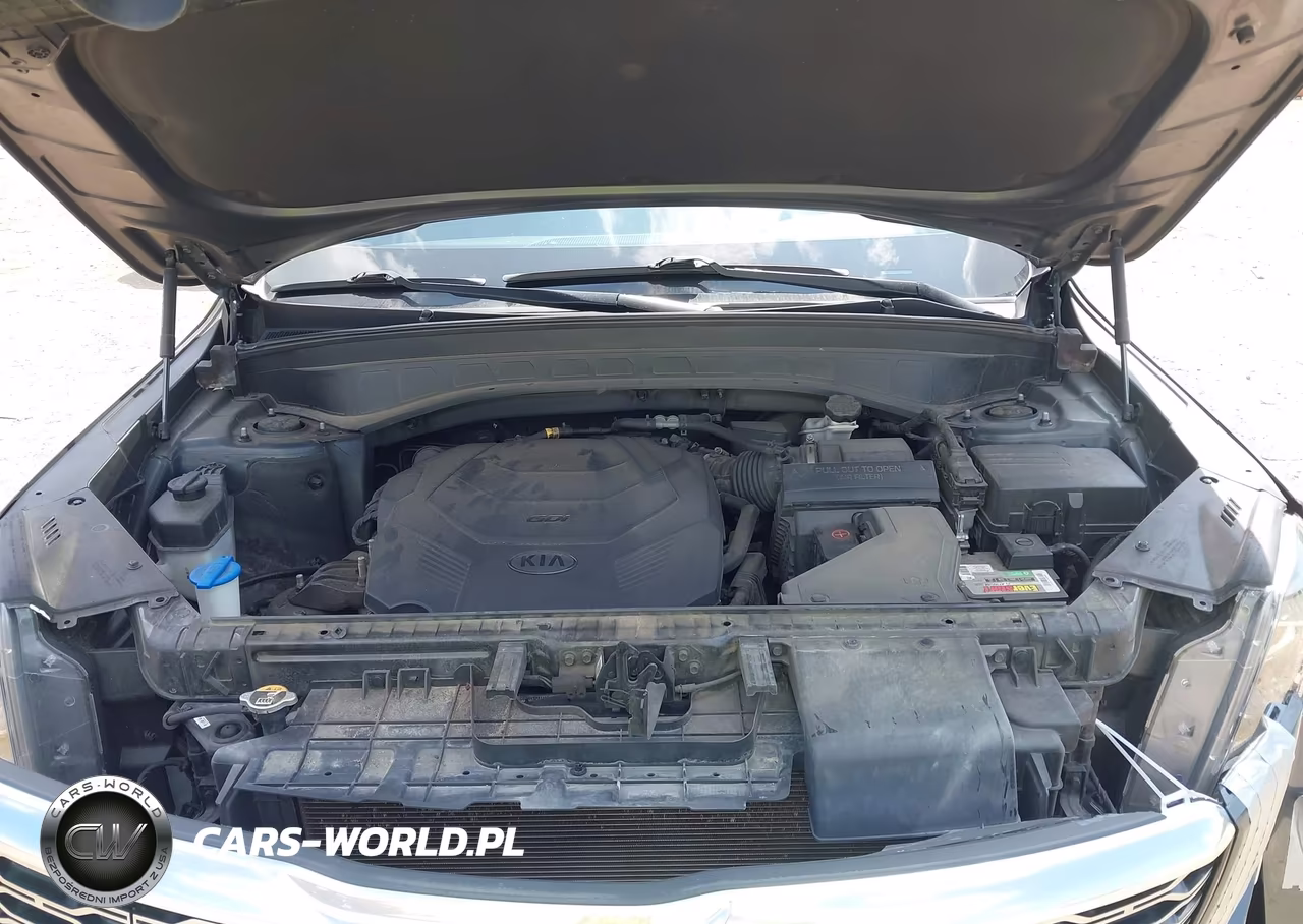 2020 Kia Telluride S VIN:5XYP64HC8LG021437 - 10