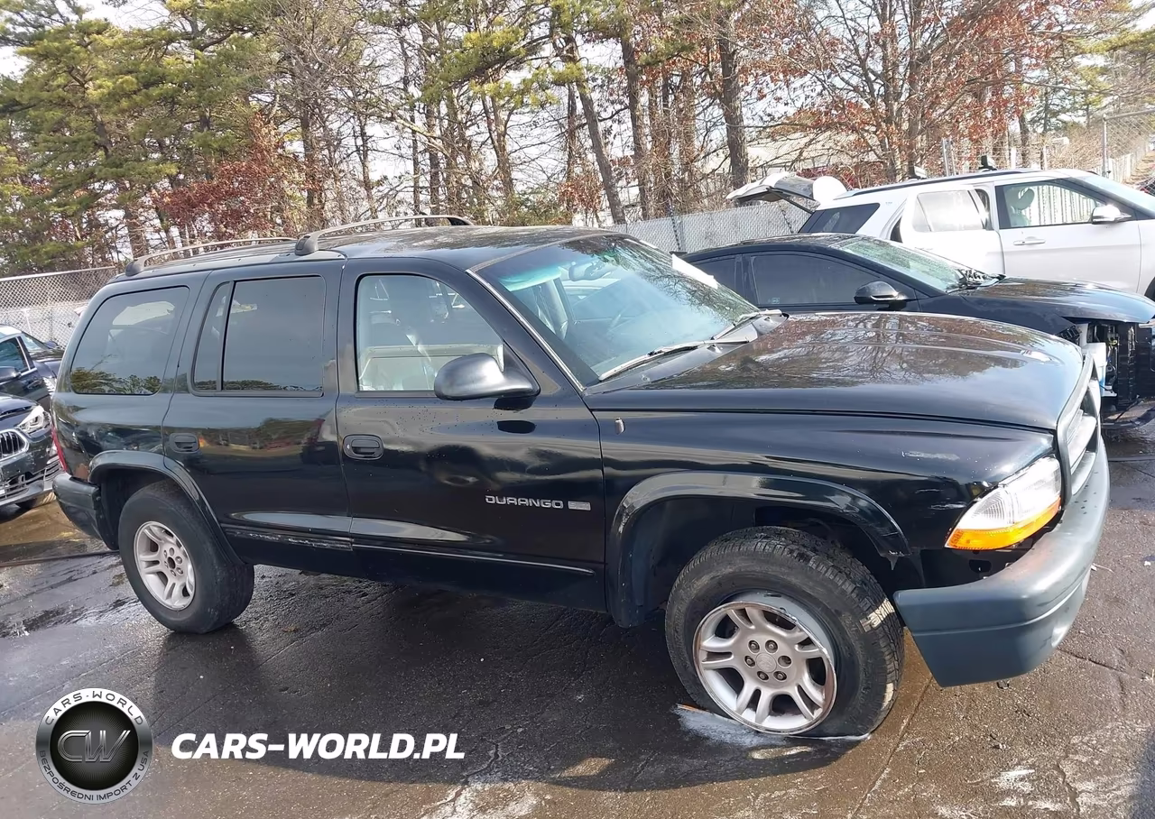 2000 Dodge Durango VIN:1B4HS28Z3YF121252 - 13