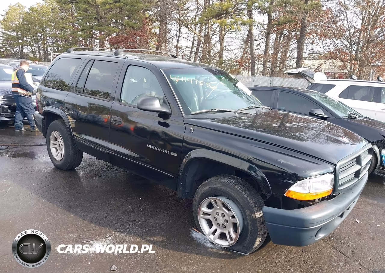 2000 Dodge Durango VIN:1B4HS28Z3YF121252 - 6