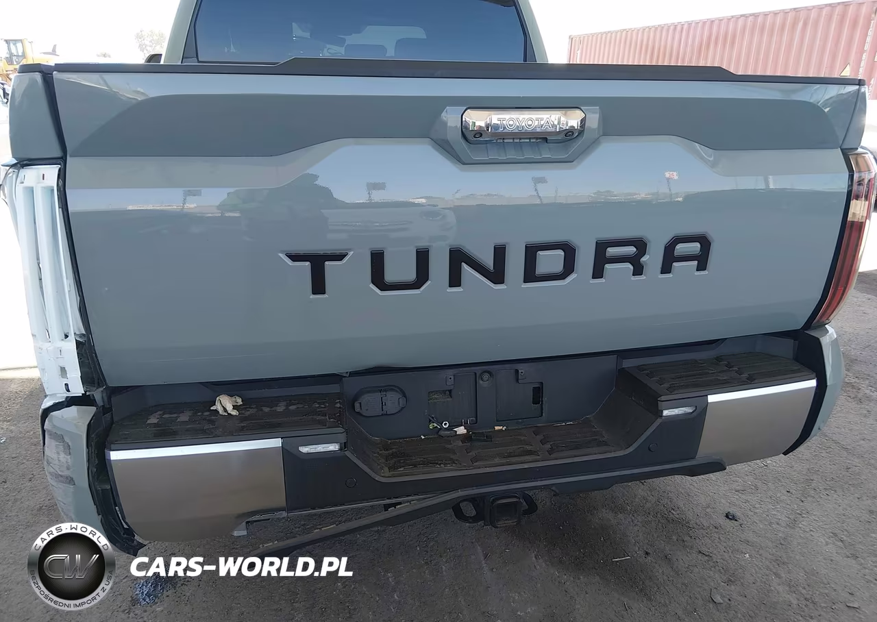 2022 Toyota Tundra Limited VIN:5TFJA5AB4NX012391 - 19