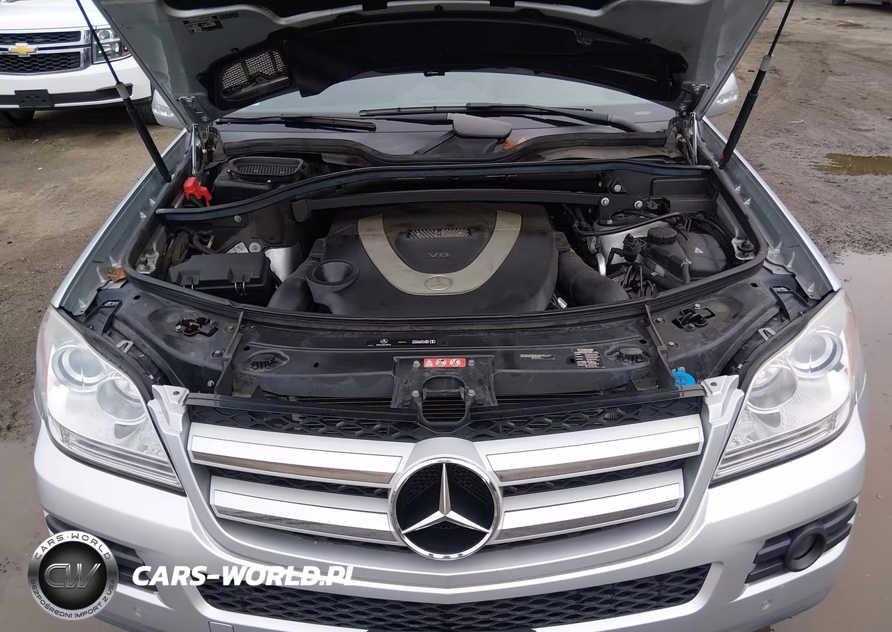 2008 Mercedes-Benz Gl 450 4Matic VIN:4JGBF71E28A349351 - 10