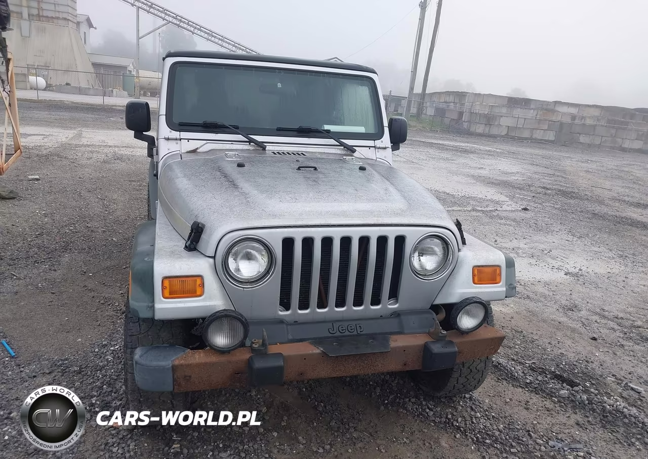 2003 Jeep Wrangler Sport VIN:1J4FA49S73P304760 - 12