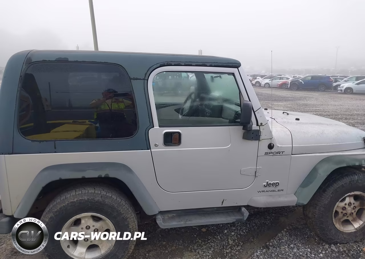 2003 Jeep Wrangler Sport VIN:1J4FA49S73P304760 - 13