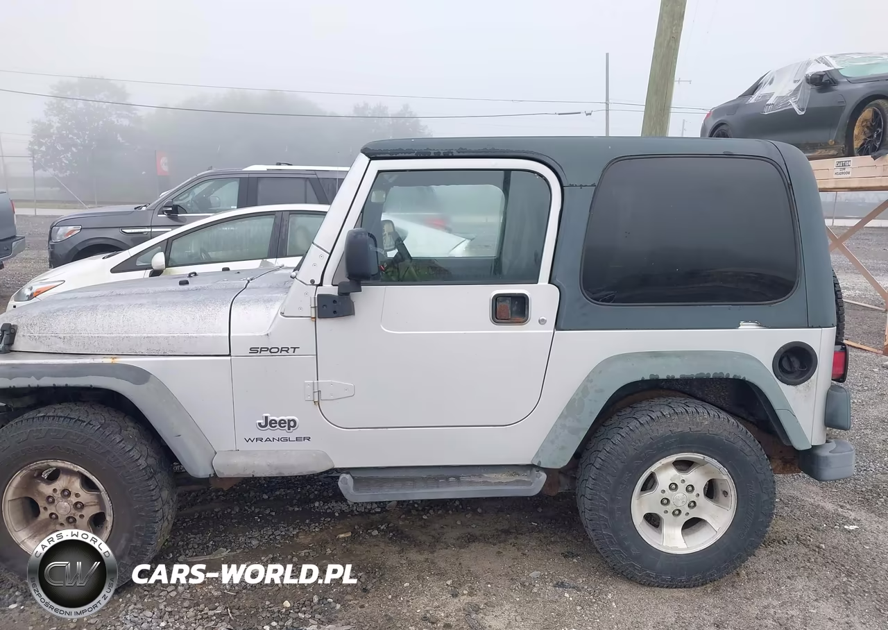 2003 Jeep Wrangler Sport VIN:1J4FA49S73P304760 - 14