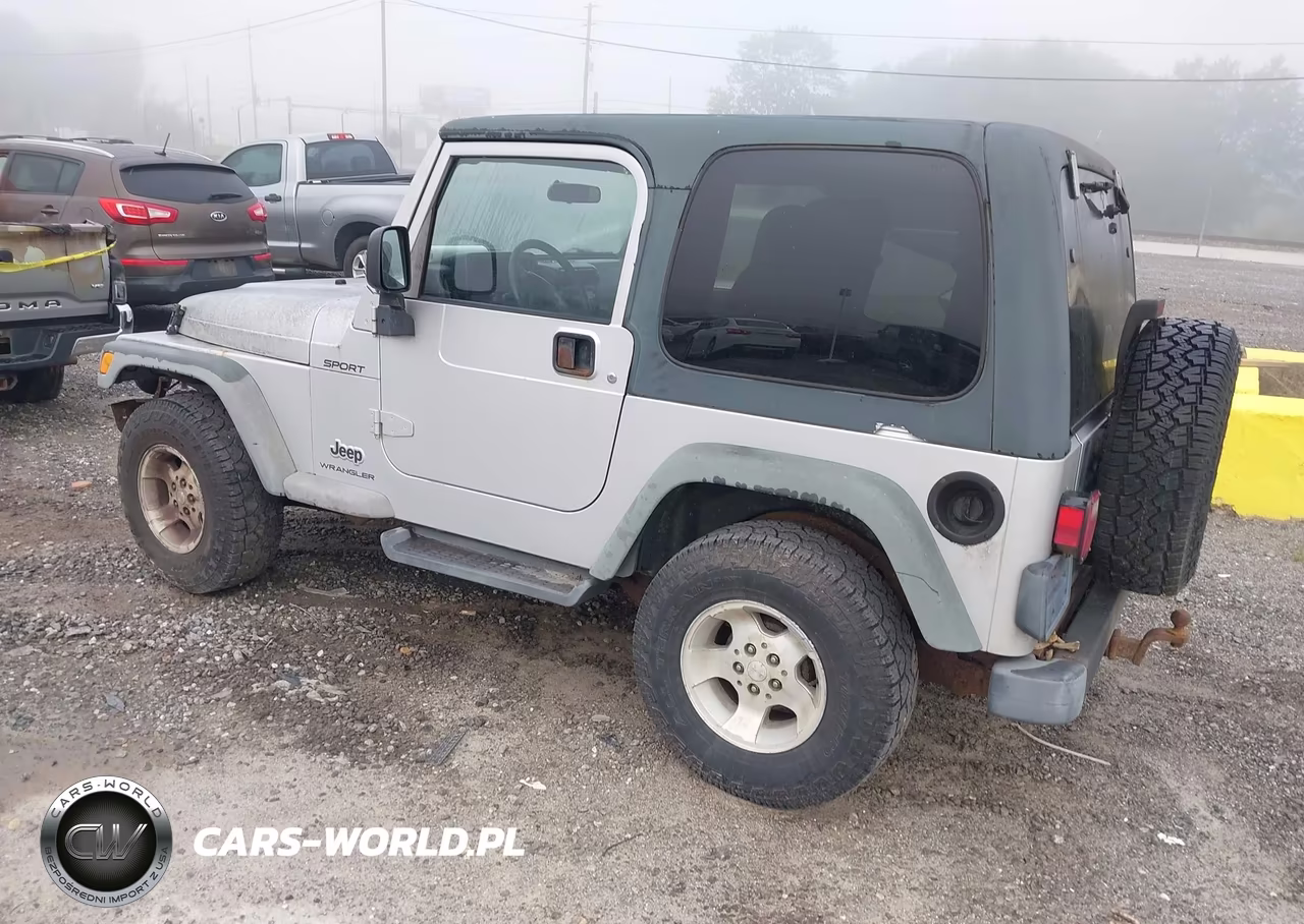 2003 Jeep Wrangler Sport VIN:1J4FA49S73P304760 - 3