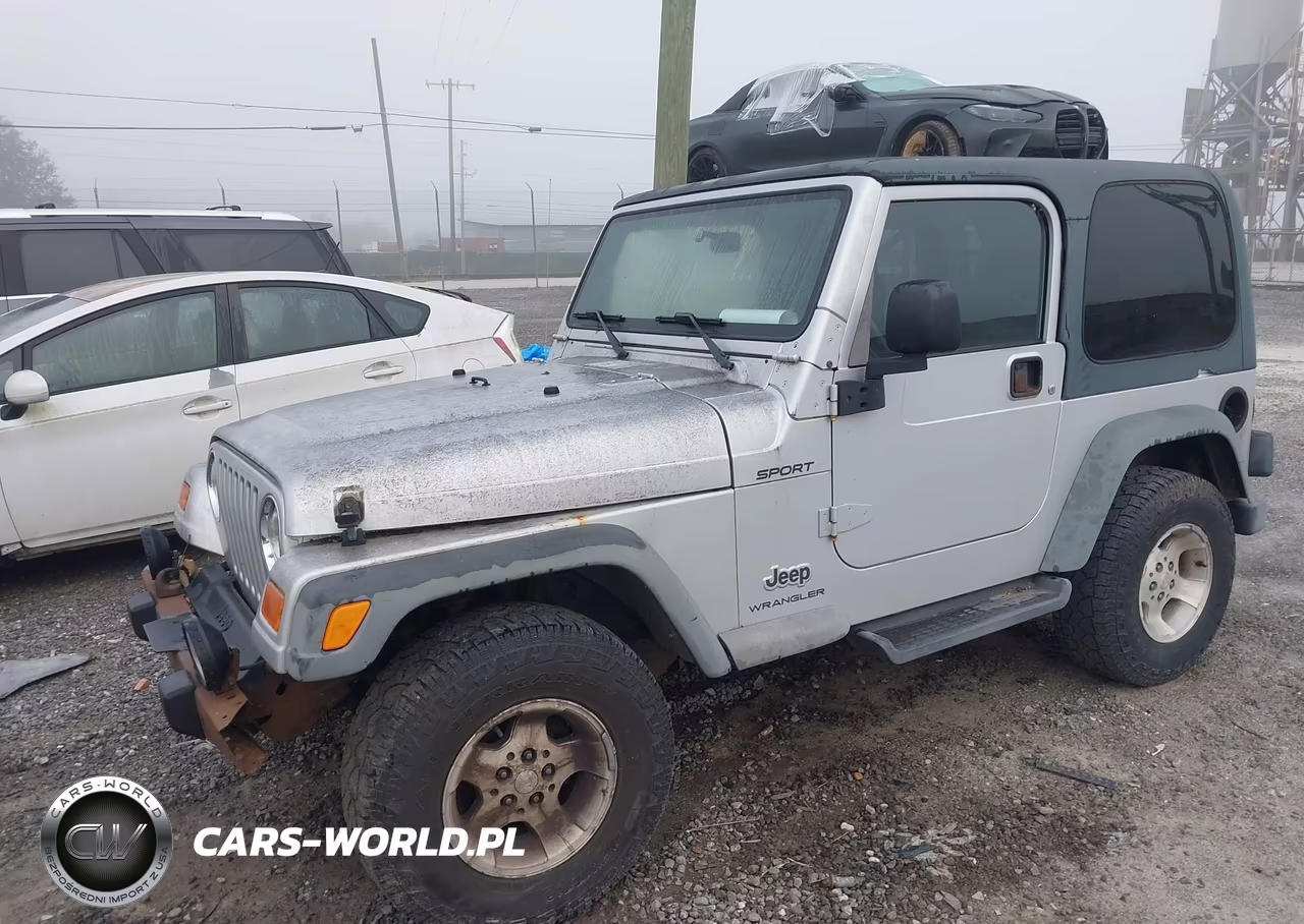 2003 Jeep Wrangler Sport VIN:1J4FA49S73P304760 - 6