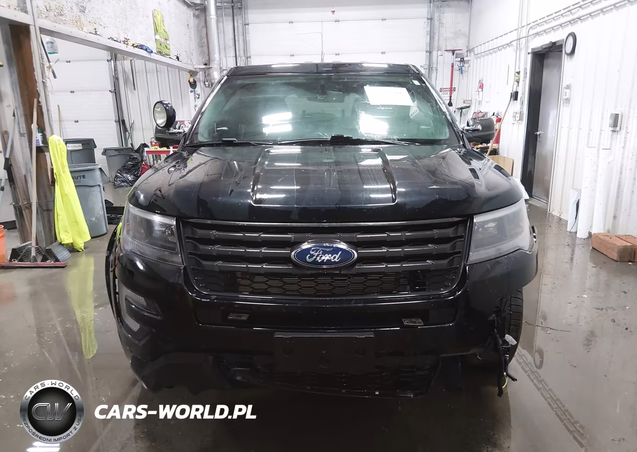 2017 Ford Utility Police Interceptor VIN:1FM5K8AR4HGE14196 - 18