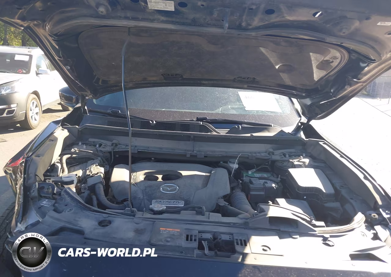2019 Mazda Cx-9 Grand Touring VIN:JM3TCBDY8K0320905 - 10