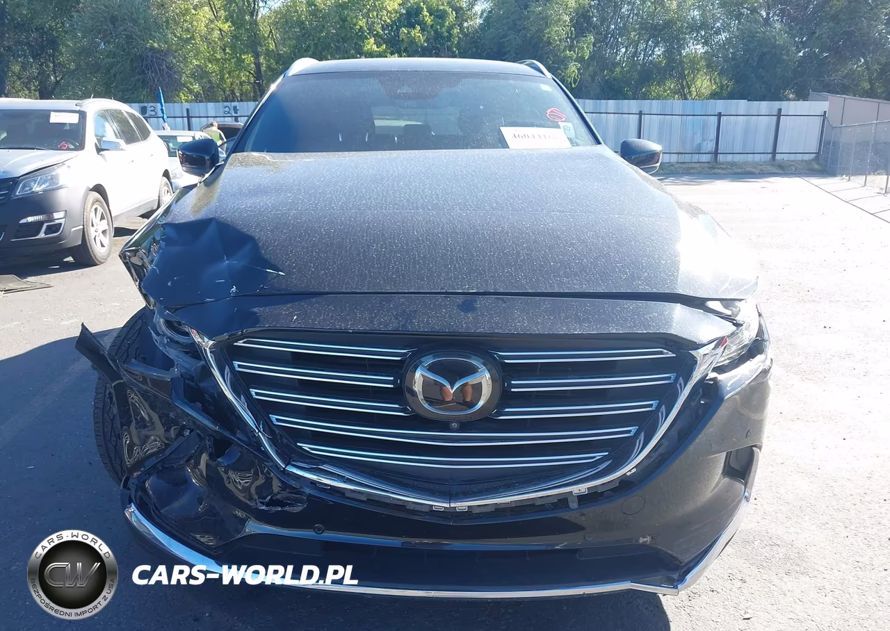 2019 Mazda Cx-9 Grand Touring VIN:JM3TCBDY8K0320905 - 12