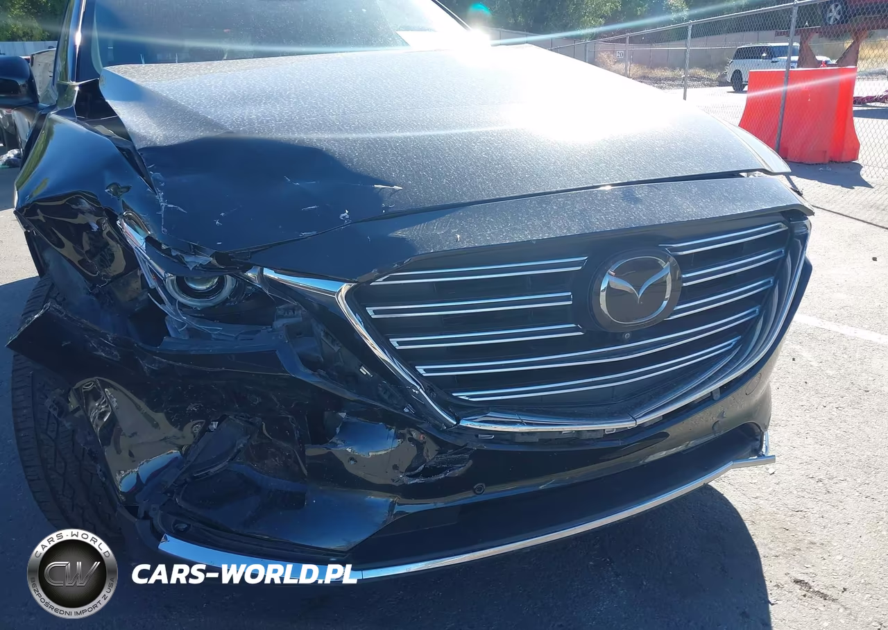 2019 Mazda Cx-9 Grand Touring VIN:JM3TCBDY8K0320905 - 6