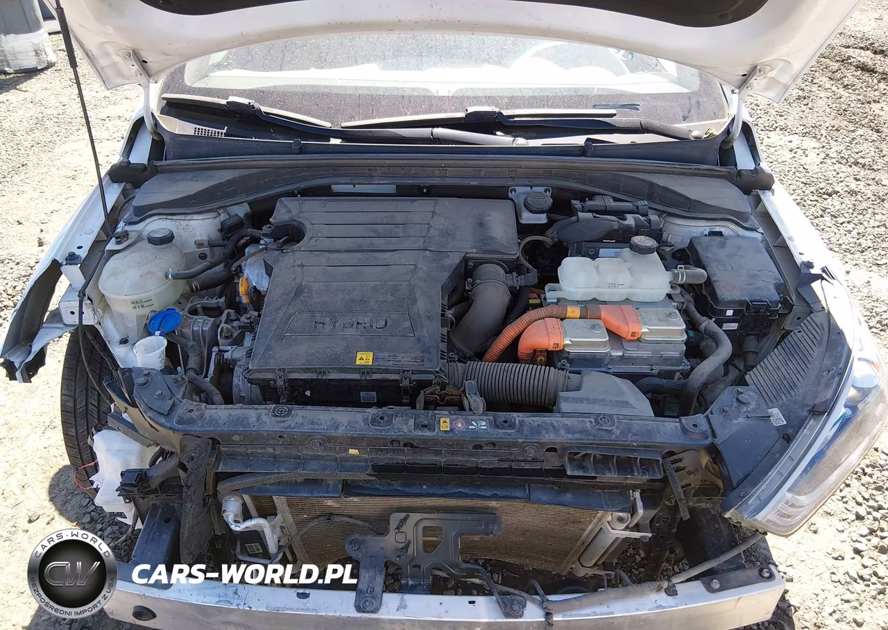 2019 Hyundai Ioniq Hybrid Sel VIN:KMHC75LC9KU127722 - 10