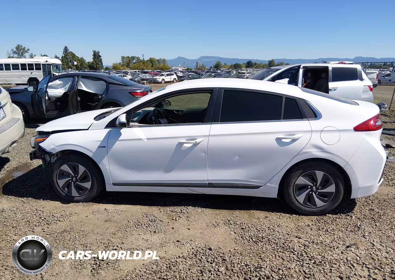 2019 Hyundai Ioniq Hybrid Sel VIN:KMHC75LC9KU127722 - 15