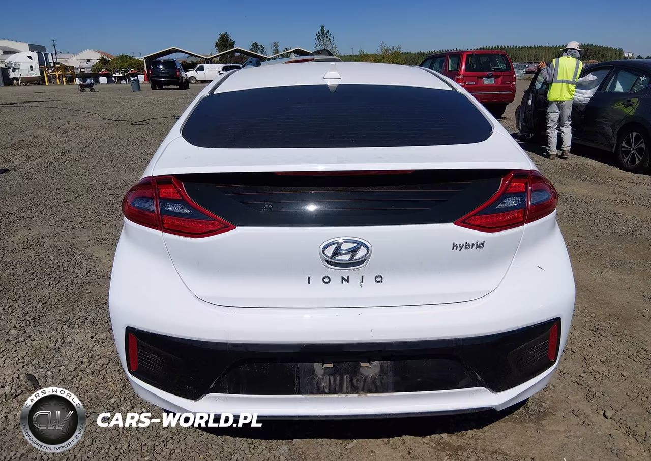2019 Hyundai Ioniq Hybrid Sel VIN:KMHC75LC9KU127722 - 17