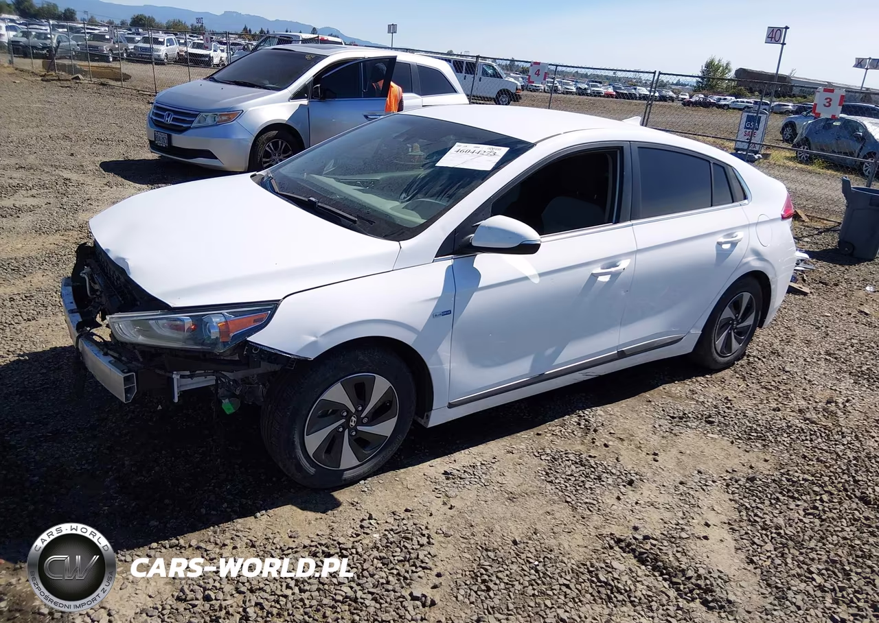 2019 Hyundai Ioniq Hybrid Sel VIN:KMHC75LC9KU127722 - 2