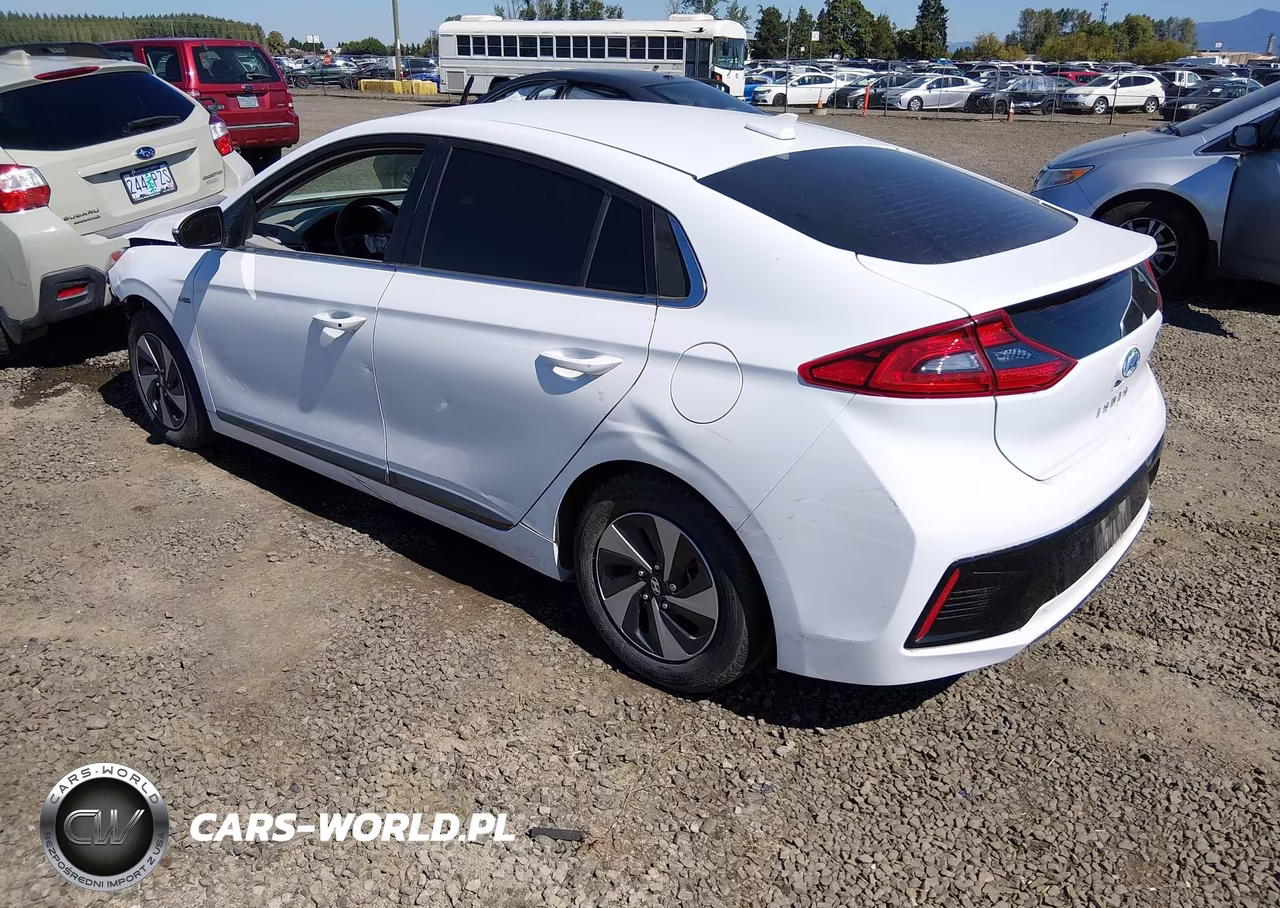 2019 Hyundai Ioniq Hybrid Sel VIN:KMHC75LC9KU127722 - 3